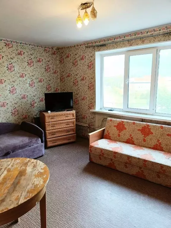 1-к кв. Ленинградская область, Киришский район, Будогощь пгт ул. ... - Фото 2