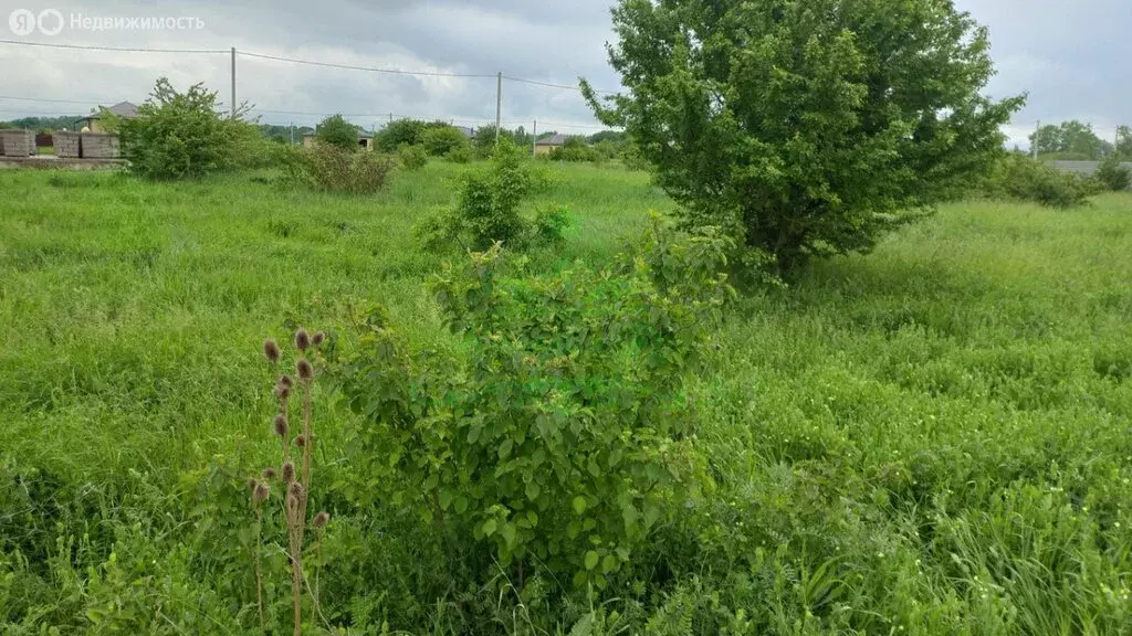 Участок в Краснодарский край, Крымск (6.1 м) - Фото 2