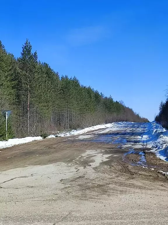 Участок в Коми, Сыктывдинский муниципальный район, Выльгорт ... - Фото 2