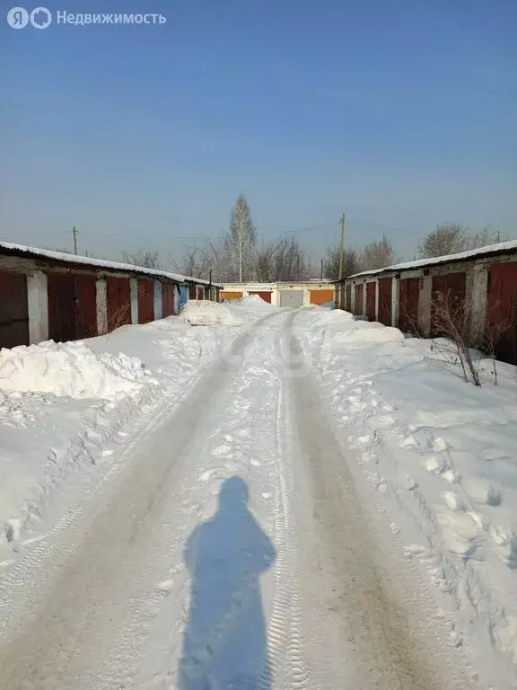 Помещение свободного назначения (23.1 м) - Фото 1