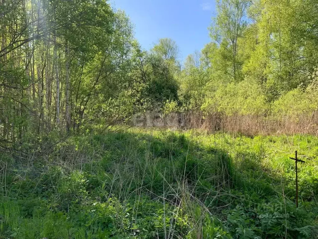 Участок в Свердловская область, Екатеринбург ВИЗ жилрайон,  (14.0 ... - Фото 1
