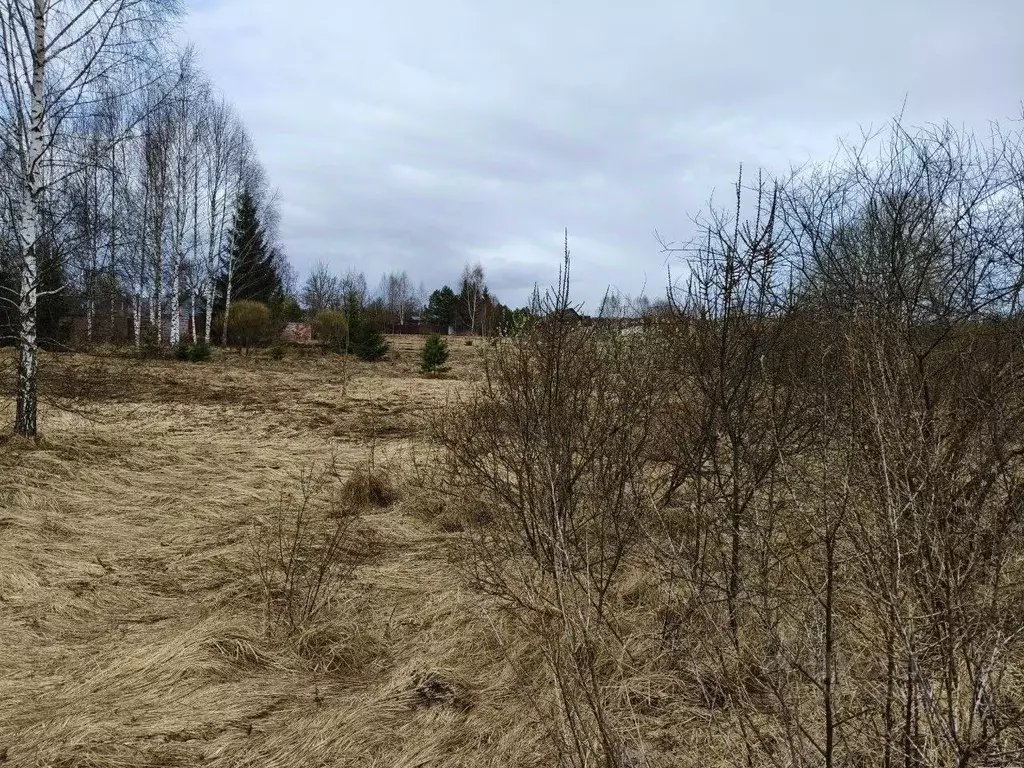 Участок в Московская область, Талдомский городской округ, д. Волкуша  ... - Фото 2