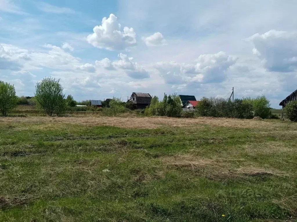 Участок в Владимирская область, Суздальский район, Павловское ... - Фото 1