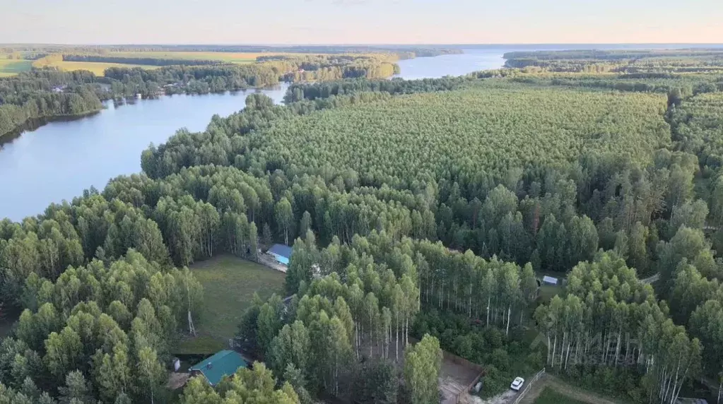 Участок в Нижегородская область, Сокольский городской округ, д. ... - Фото 1