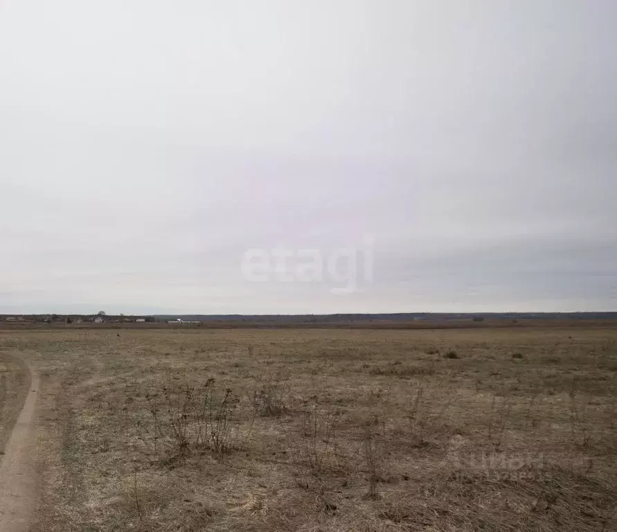 Участок в Калужская область, Дзержинский район, с. Дворцы ул. ... - Фото 0