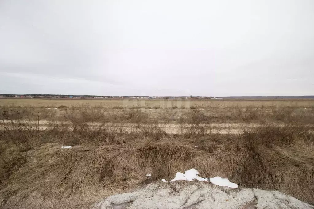 Участок в Калужская область, Дзержинский муниципальный округ, с. ... - Фото 2