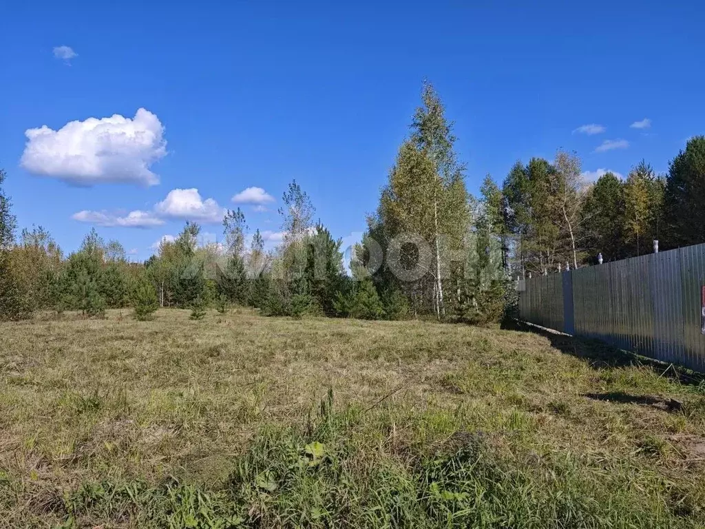 Участок в Новосибирская область, Новосибирский район, Кудряшовский ... - Фото 0