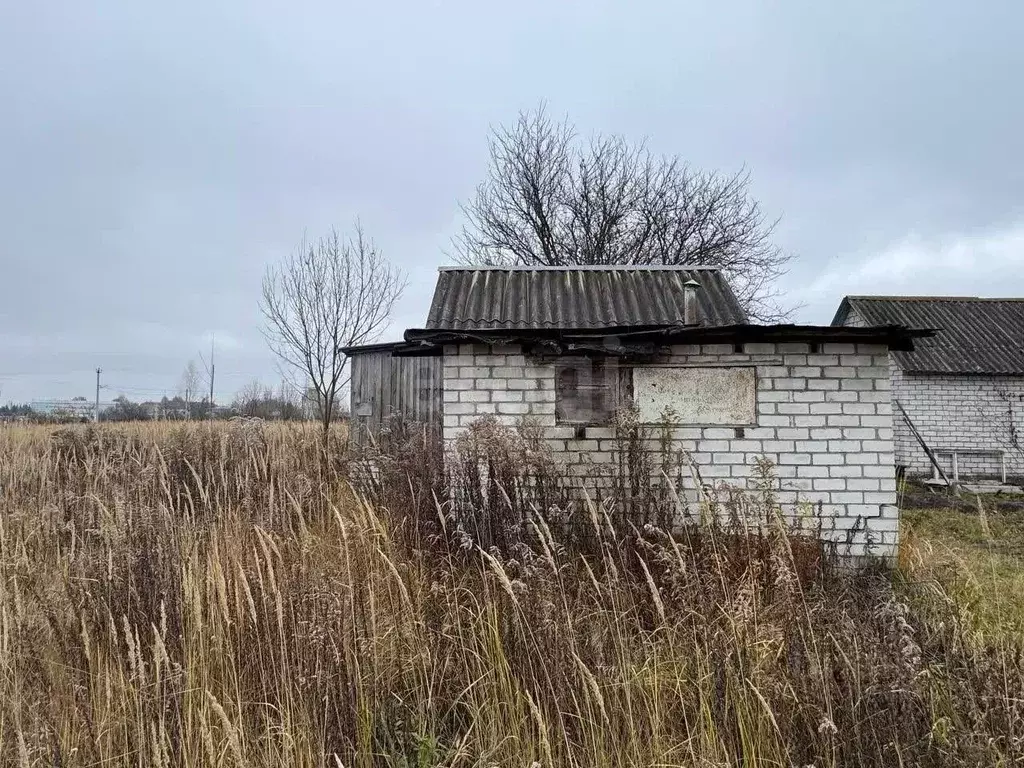 Участок в Брянская область, Брянский район, Снежское с/пос, с. ... - Фото 1
