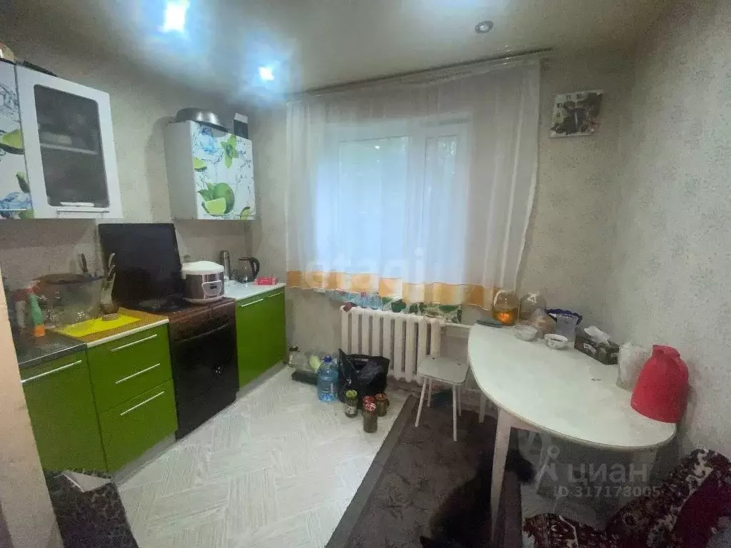 2-к кв. Амурская область, Серышевский муниципальный округ, с. Томское ... - Фото 2