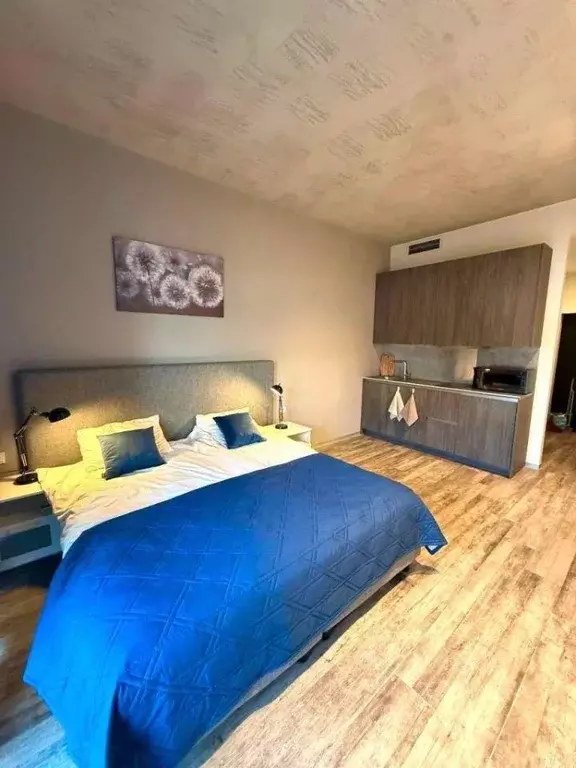 Квартира, студия, 33 м - Фото 2