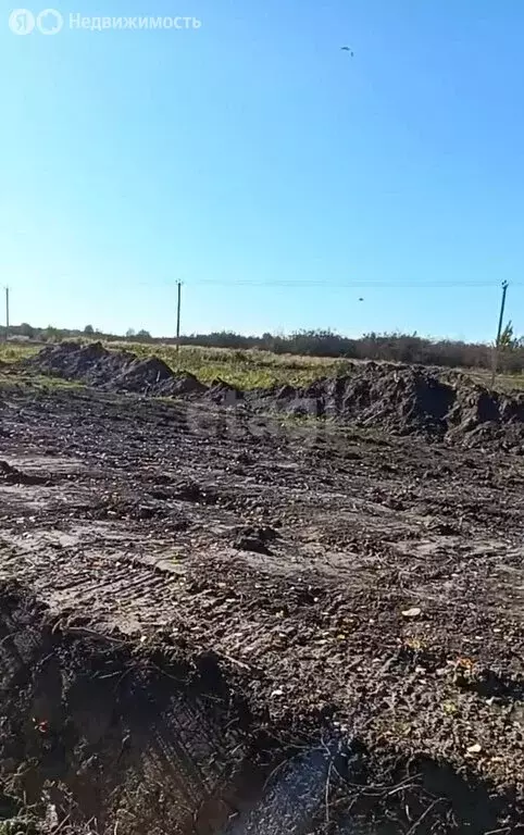 Участок в Калининградская область, Гурьевский муниципальный округ, ... - Фото 1