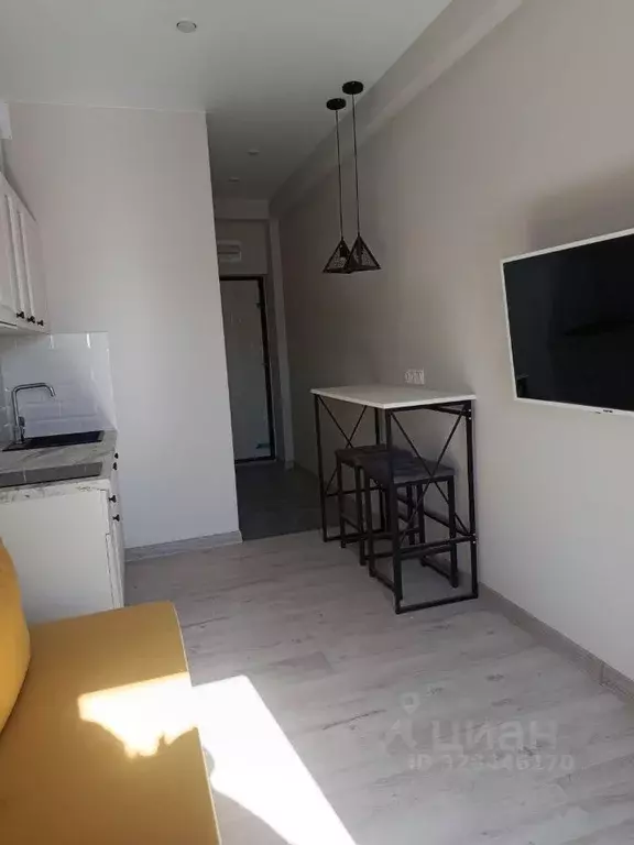 Студия Краснодарский край, Сочи ул. Ручей Видный, 56 (18.5 м) - Фото 2