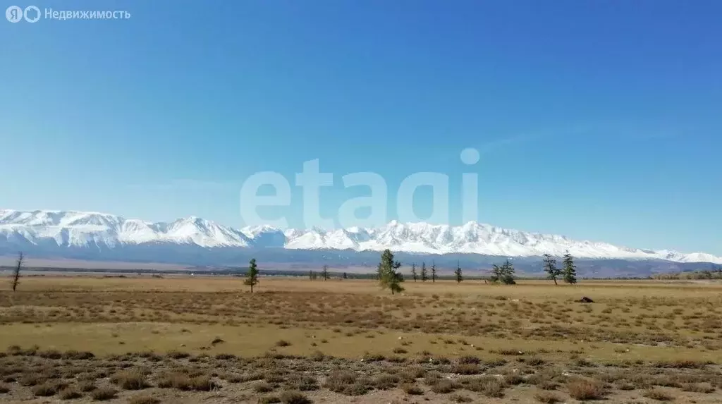 Участок в село Курай, Алтайская улица (526 м) - Фото 2