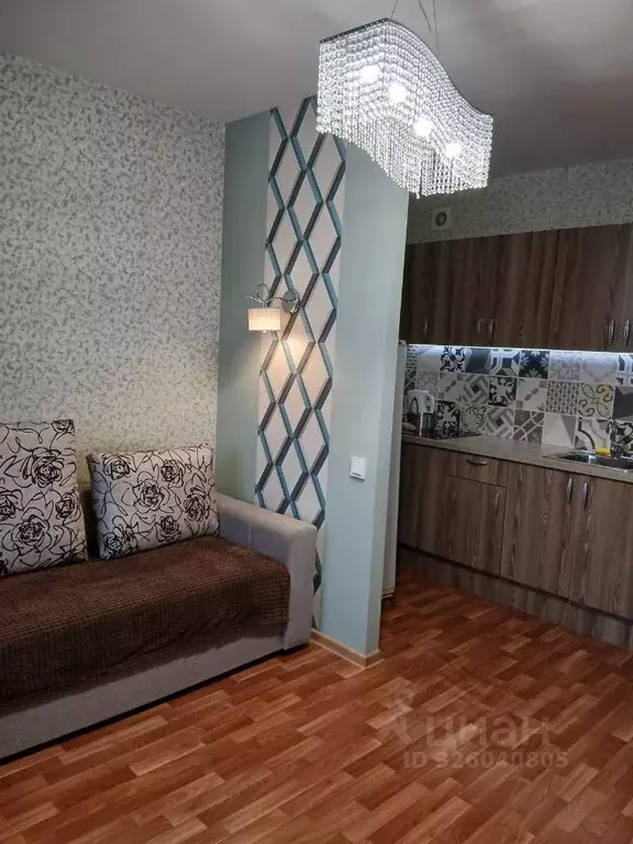 Студия Санкт-Петербург ул. Бабушкина, 84к2 (25.0 м) - Фото 2