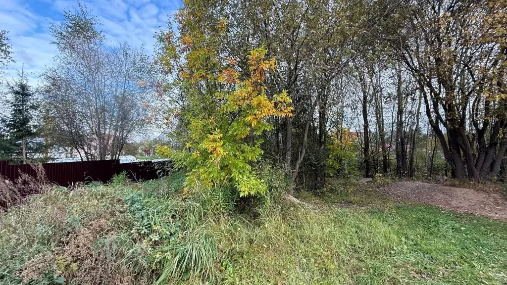 Участок в Московская область, Можайский муниципальный округ, д. ... - Фото 1