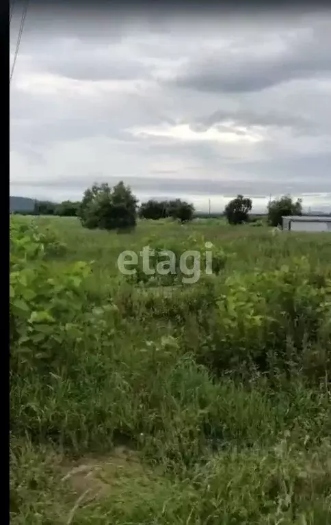 Участок в Сахалинская область, Анивский городской округ, с. ... - Фото 0