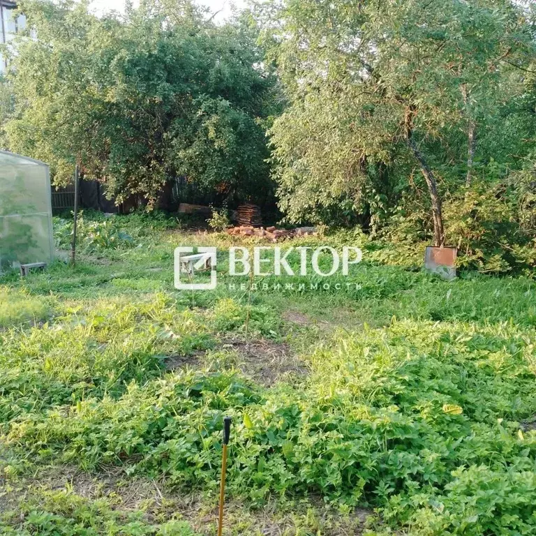 Участок в Костромская область, Кострома Малышковская ул., 40 (8.0 ... - Фото 2