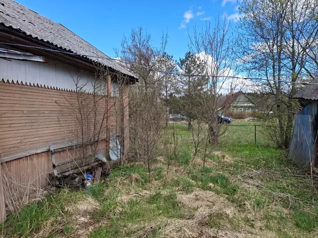 Участок в Ленинградская область, Кингисеппский район, Фалилеевское ... - Фото 1
