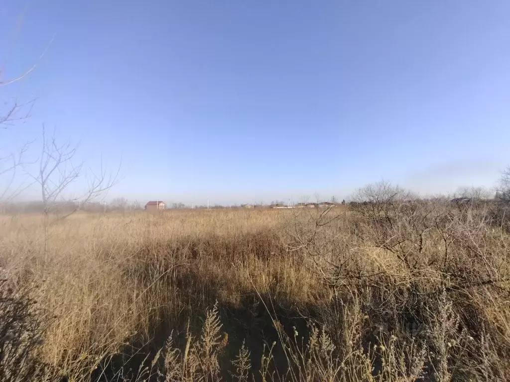 Участок в Приморский край, Октябрьский муниципальный округ, с. ... - Фото 1