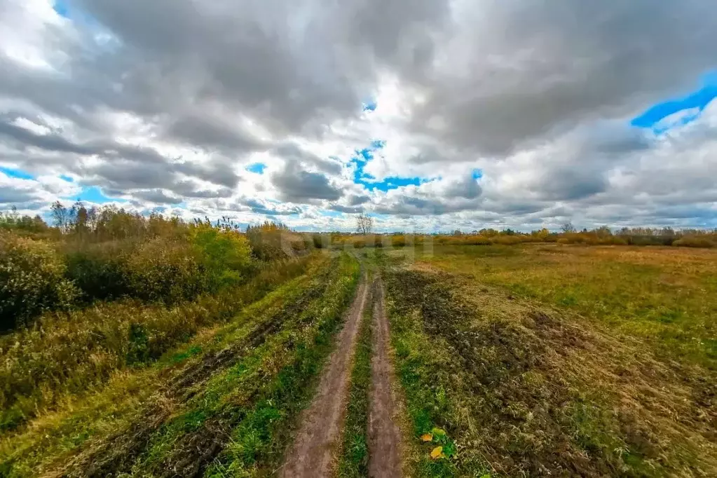 Участок в Тюменская область, Тюменский район, с. Борки  (14.91 сот.) - Фото 0