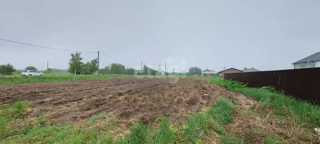 Участок в Владимирская область, Ковровский муниципальный округ, с. ... - Фото 1