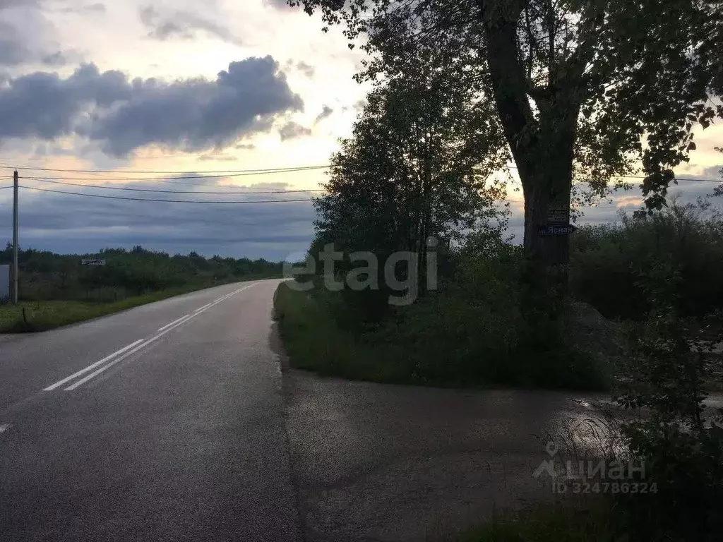 Участок в Калининградская область, Гурьевский муниципальный округ, ... - Фото 1
