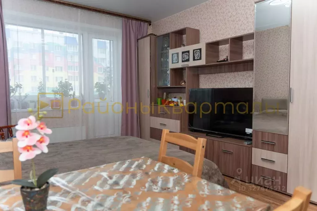 Студия Новосибирская область, Новосибирск Хилокская ул., 1Г (26.8 м) - Фото 2