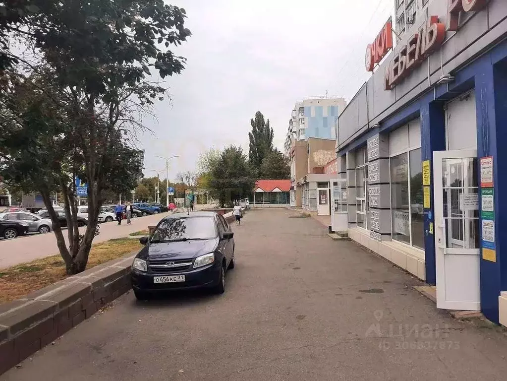 Помещение свободного назначения в Белгородская область, Белгород ... - Фото 1