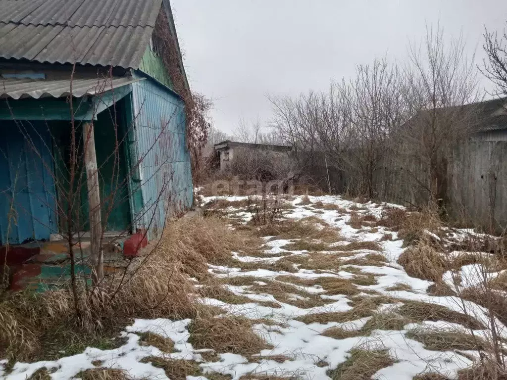 Дом в Белгородская область, Волоконовский район, Староивановское ... - Фото 1