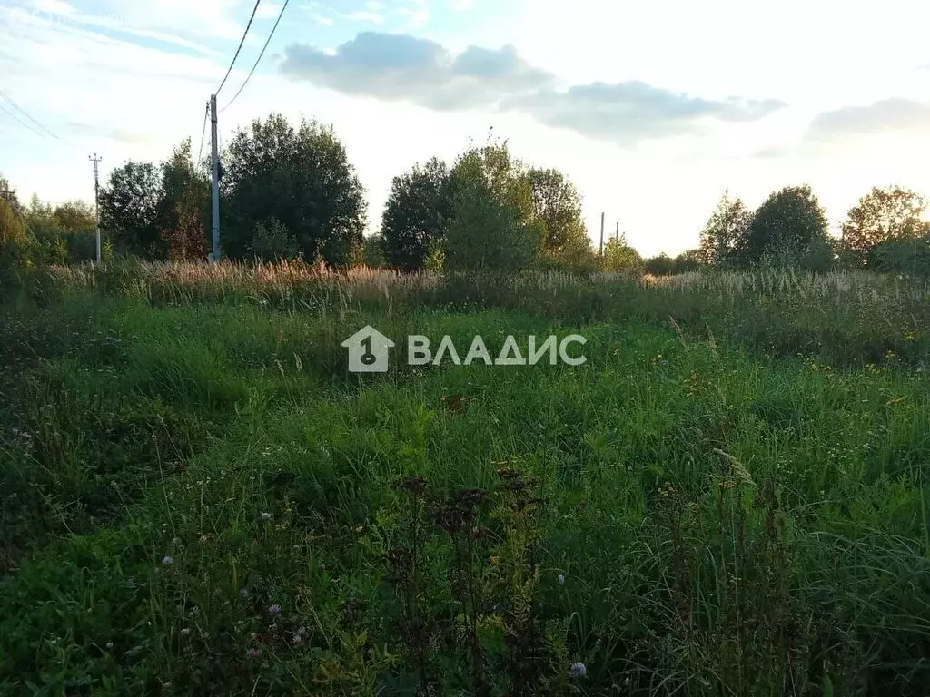 Участок в Московская область, городской округ Щёлково, деревня ... - Фото 1