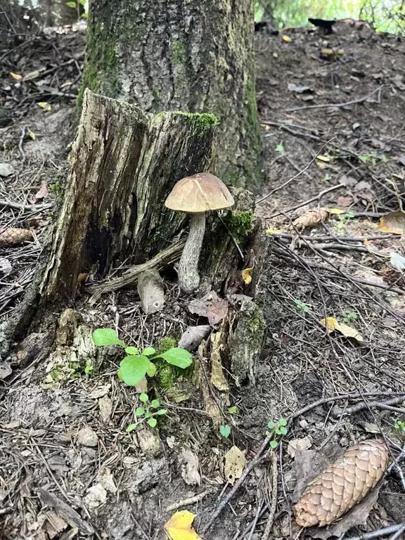 Дом в Тверская область, Кимрский муниципальный округ, пос. Заводской  ... - Фото 2