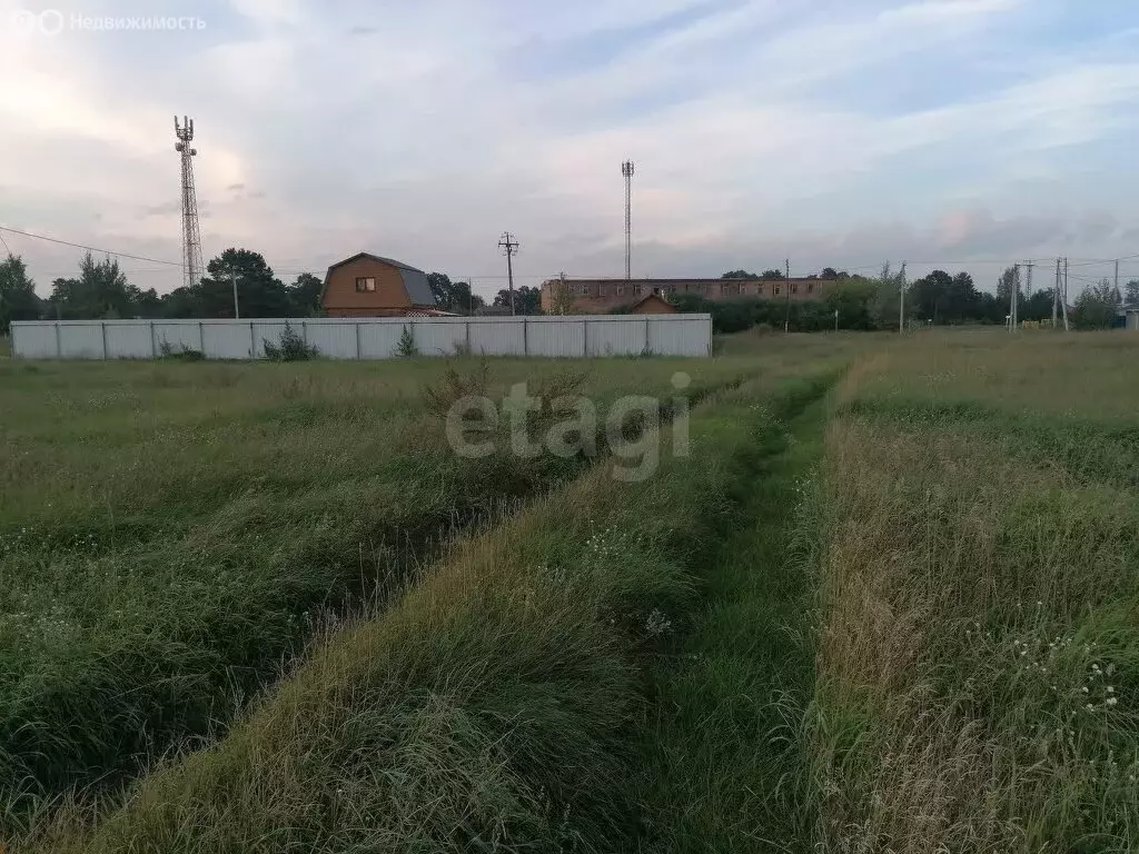 Участок в Тюменский район, деревня Криводанова, коттеджный посёлок ... - Фото 1