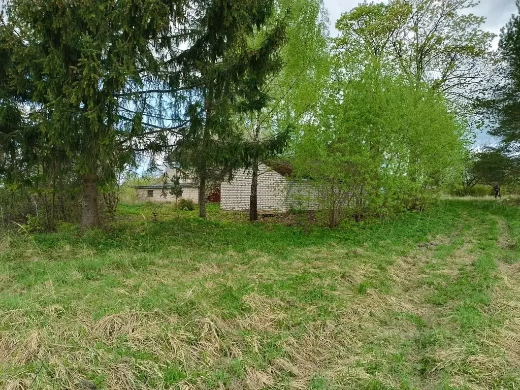 Дом в Смоленская область, Смоленский муниципальный округ, Деревня ... - Фото 2