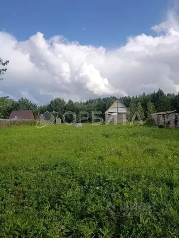 Участок в Свердловская область, Слободо-Туринский район, ... - Фото 2