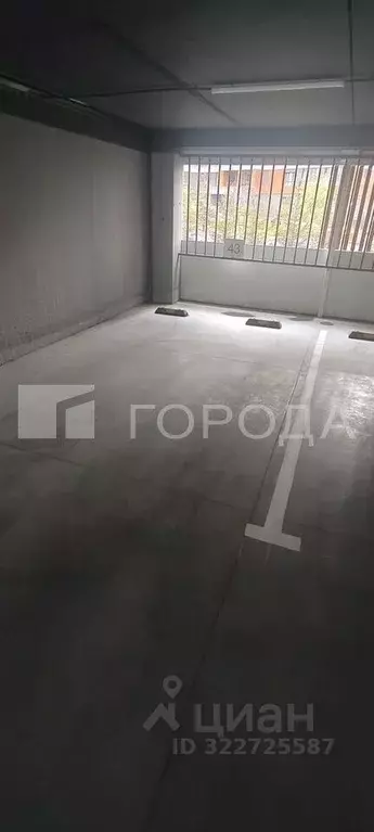 Гараж в Новосибирская область, Новосибирск ул. Николая Островского, ... - Фото 1