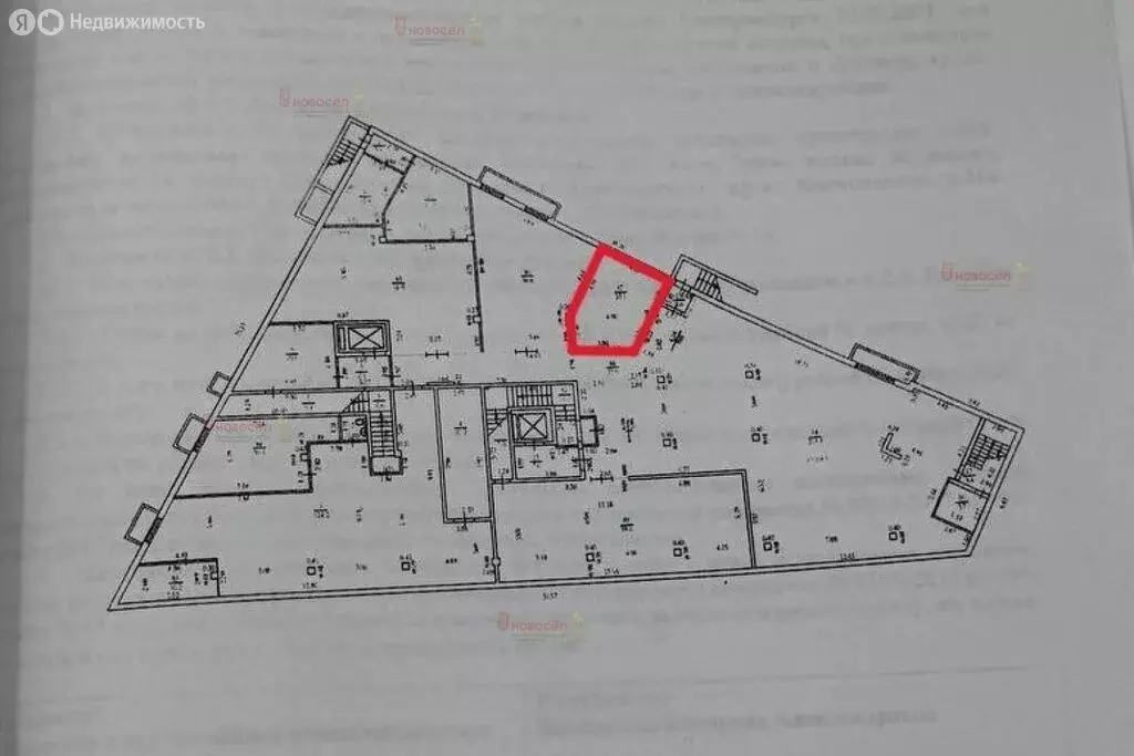 Торговая площадь (25.1 м) - Фото 1