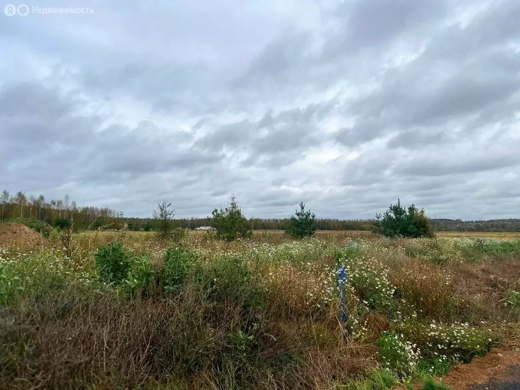 Участок в Московская область, Дмитровский муниципальный округ, КП ... - Фото 1