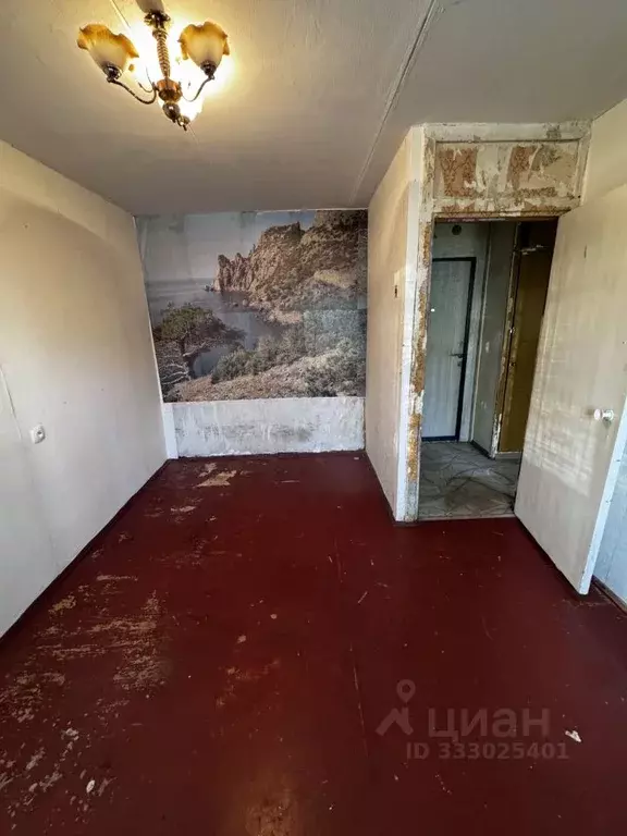 1-к кв. Пермский край, Чайковский ул. Гагарина, 31 (21.5 м) - Фото 1
