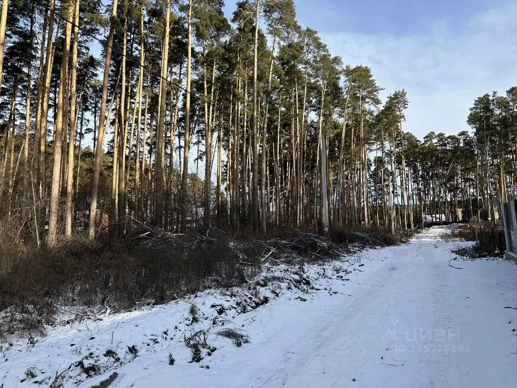 Участок в Свердловская область, Сысертский муниципальный округ, с. ... - Фото 1