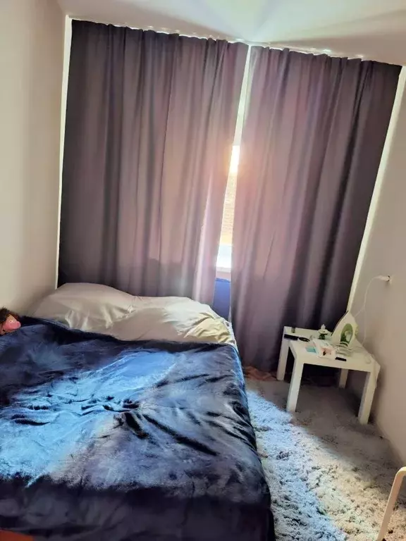 1-к кв. Томская область, Томск ул. Герцена, 15 (22.0 м) - Фото 2