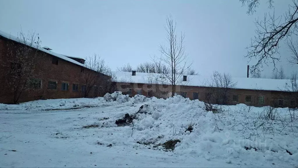 Склад в Новосибирская область, Ордынский район, пос. Чернаково ул. ... - Фото 1