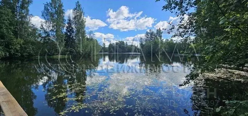 Участок в Ленинградская область, Подпорожский район, Важинское ... - Фото 1