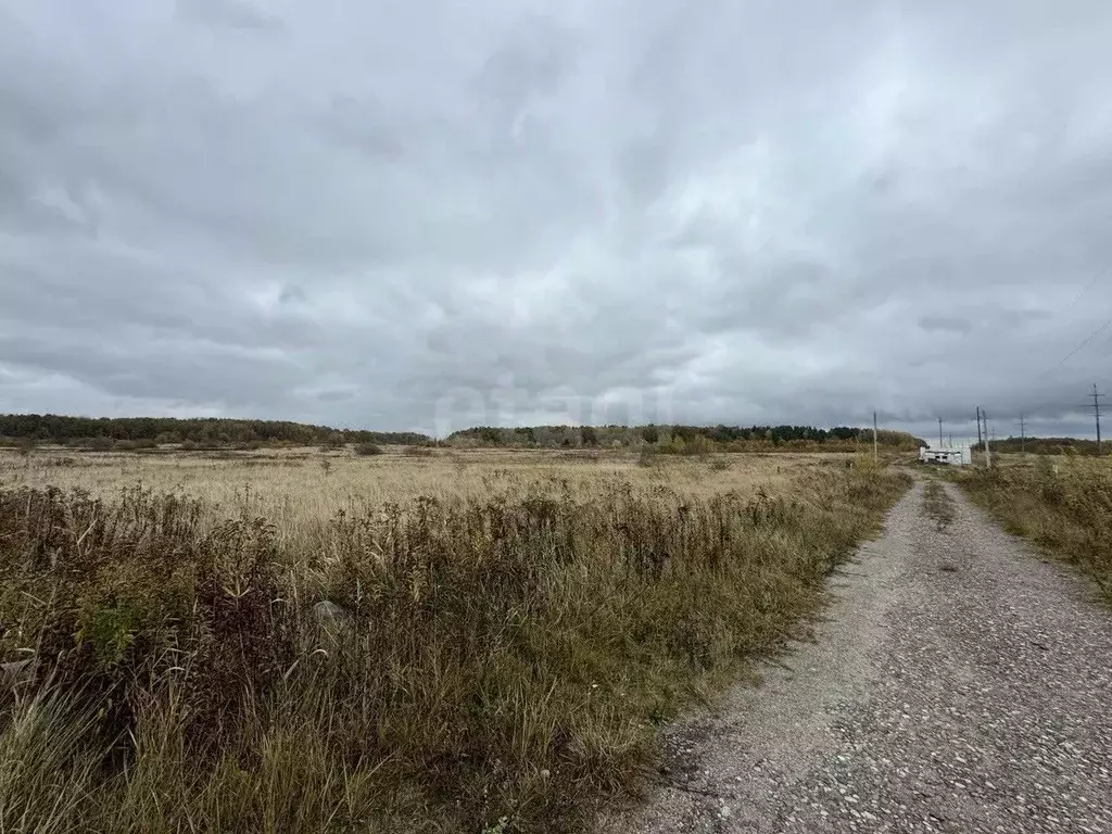 Участок в Калининградская область, Гурьевский муниципальный округ, ... - Фото 2