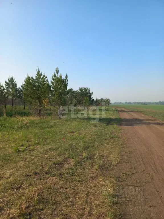 Участок в Свердловская область, Талицкий муниципальный округ, пос. ... - Фото 1