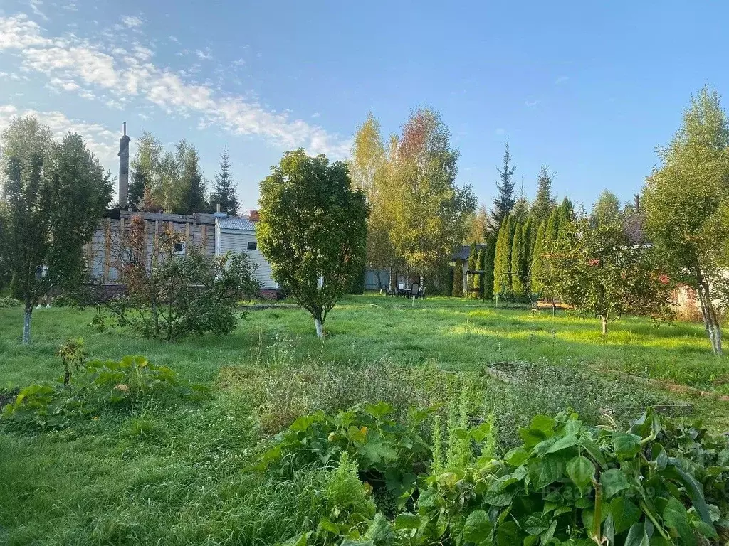 Участок в Москва д. Руднево, ул. Луговая, 31 (15.0 сот.) - Фото 2