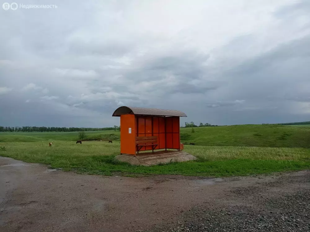 Участок в Кармаскалинский район, Старомусинский сельсовет, деревня ... - Фото 1