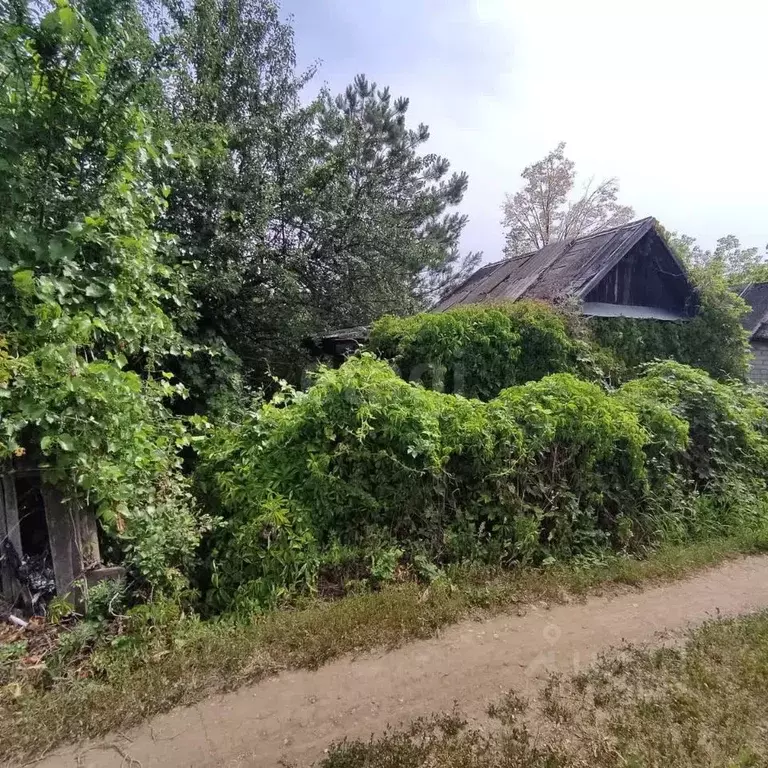 Участок в Саратовская область, Саратов Волжанка СНТ,  (6.46 сот.) - Фото 1