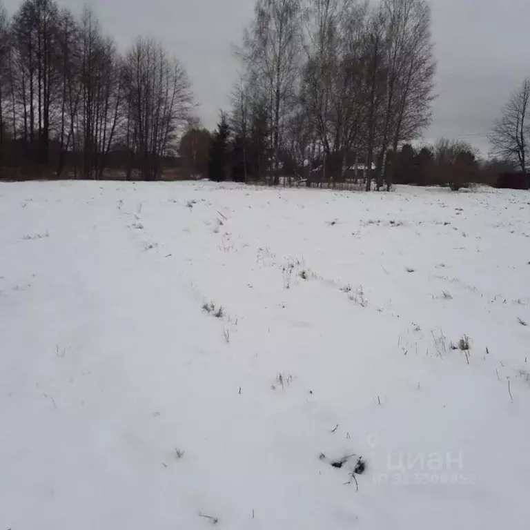 Участок в Московская область, Ступино городской округ, с. Вихорна ул. ... - Фото 0