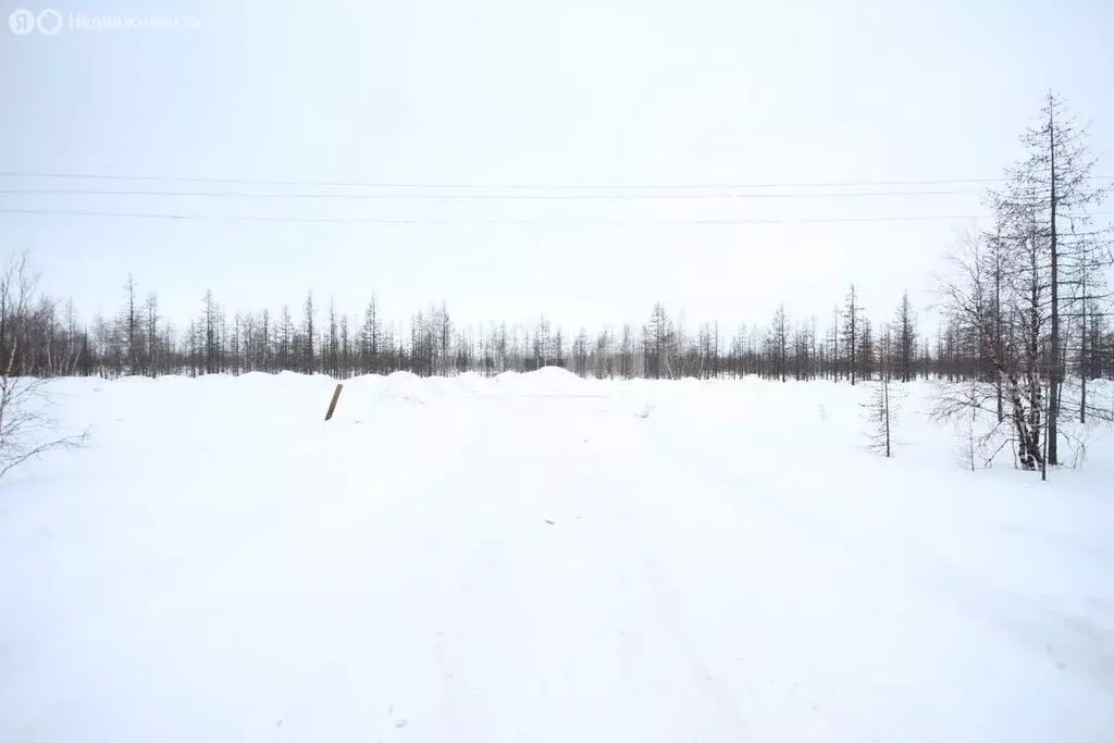 Участок в Новый Уренгой, СНТ Фемида, 1-я Кедровая улица (6 м) - Фото 2