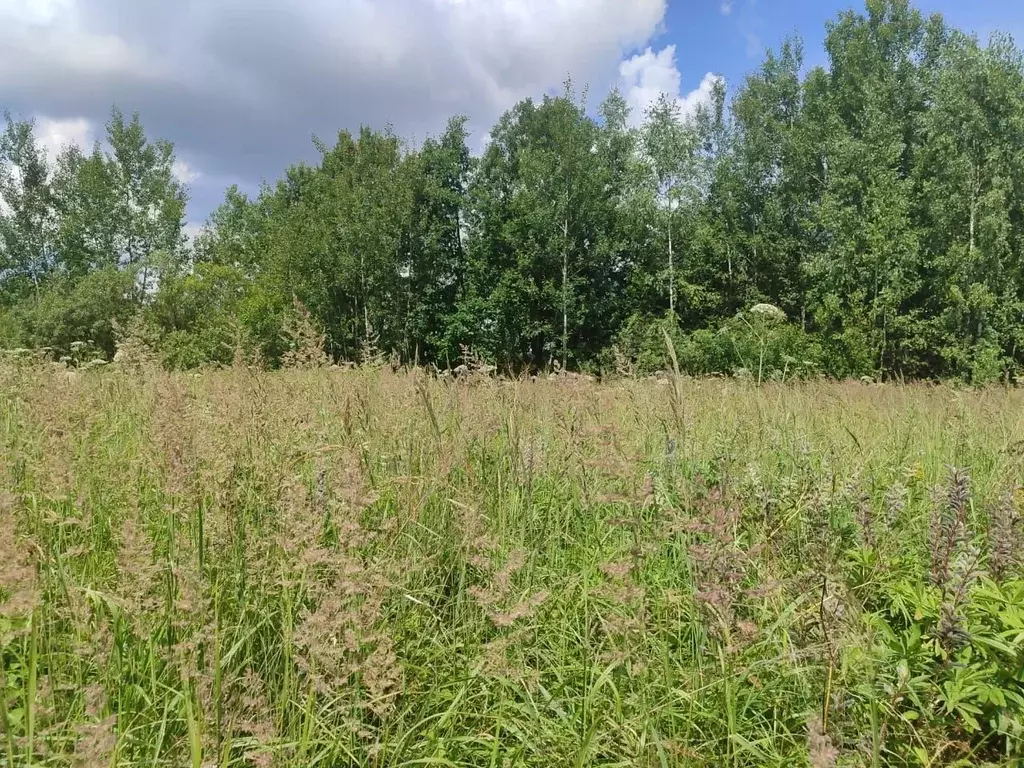 Участок в Псковская область, Великолукский район, Пореченская волость, ... - Фото 2